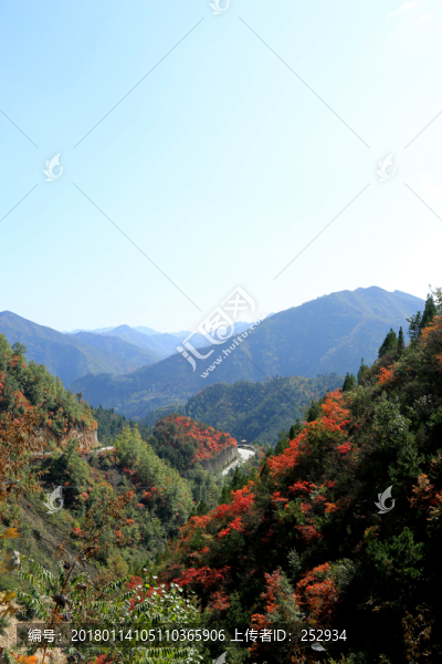 秋景