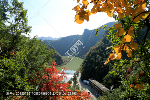 秋天的風景