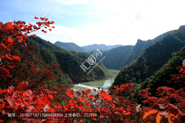紅葉