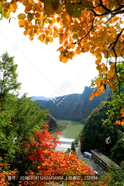 秋天的風景