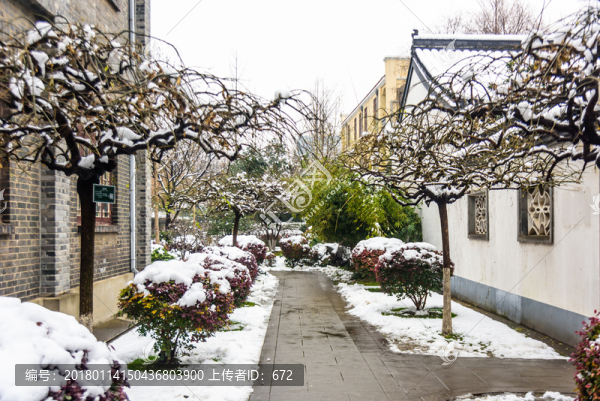 南京總統(tǒng)府雪景