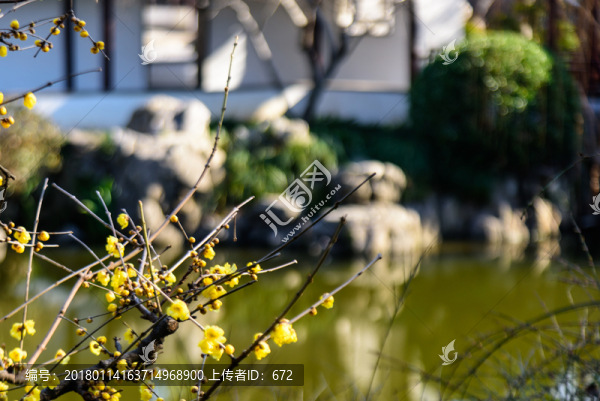 瞻園園林景觀