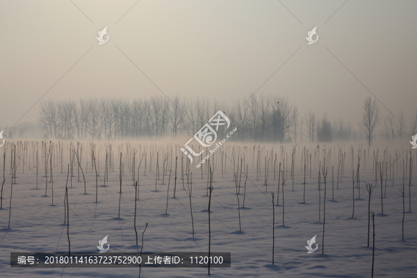 皖北雪景