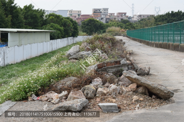 亂石花叢