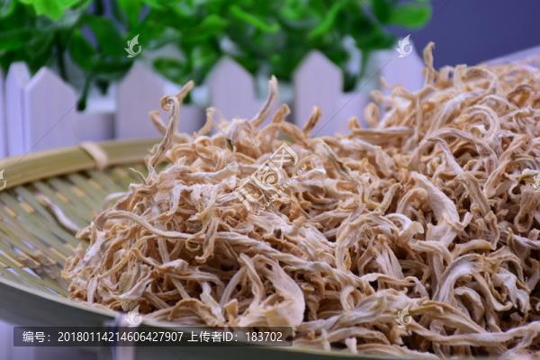 木瓜絲