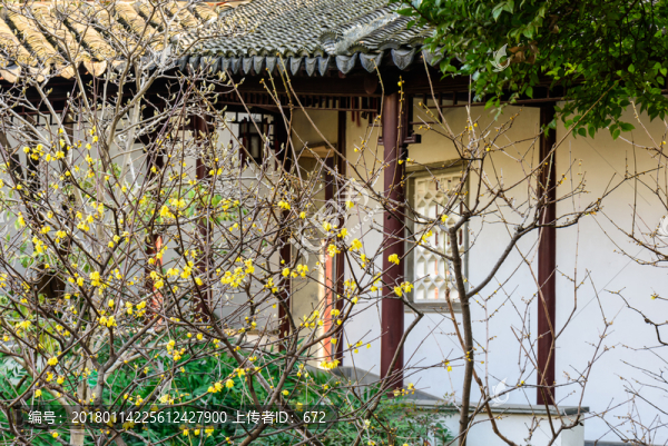 瞻園園林建筑景觀