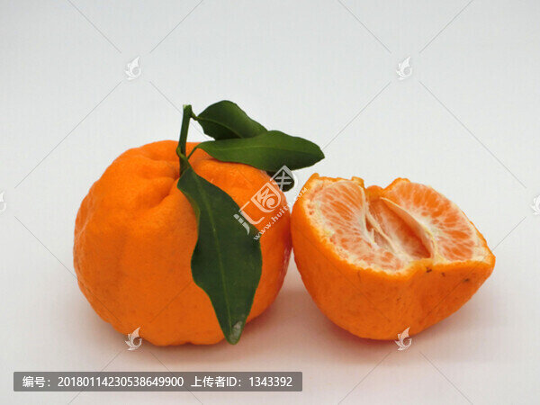 丑柑,丑橘