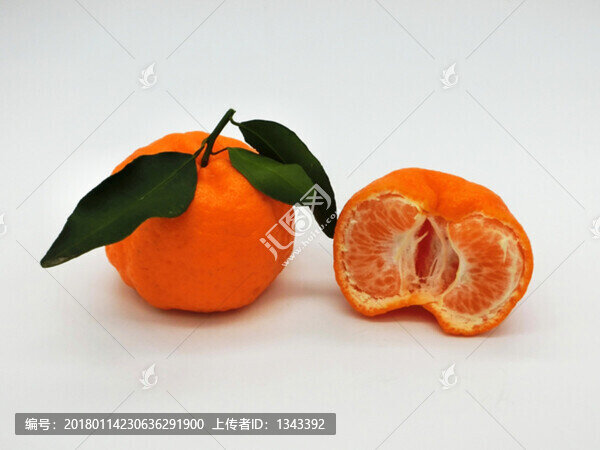 丑柑,丑橘