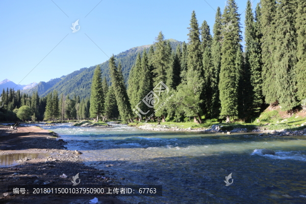 松林河水