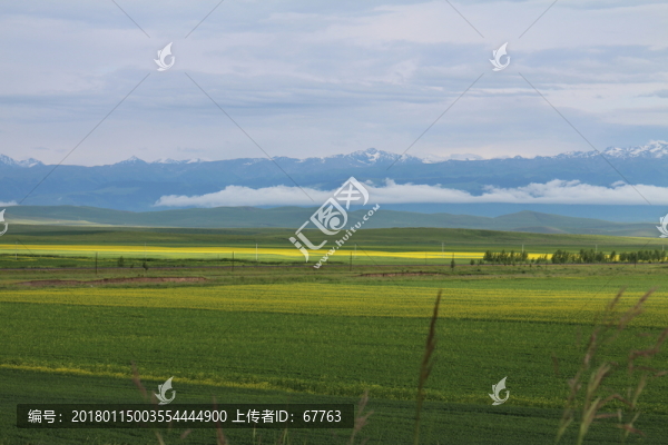 無邊的田野