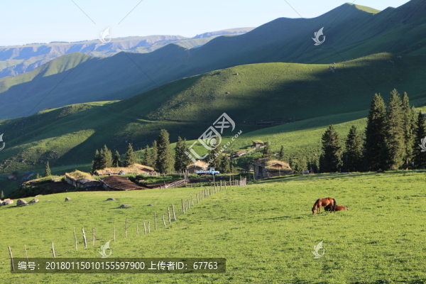 陽(yáng)光下的綠色山坡