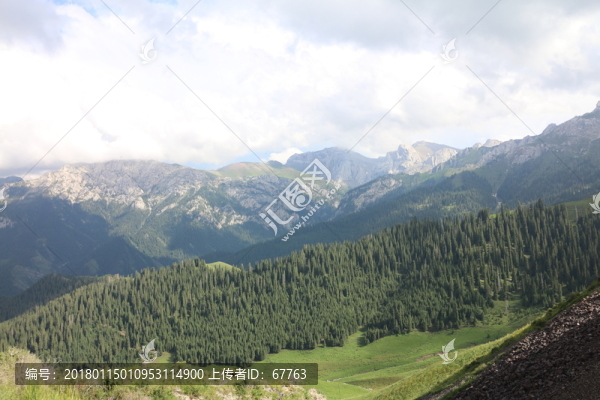 伊犁山谷美景