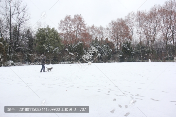 帶狗漫步