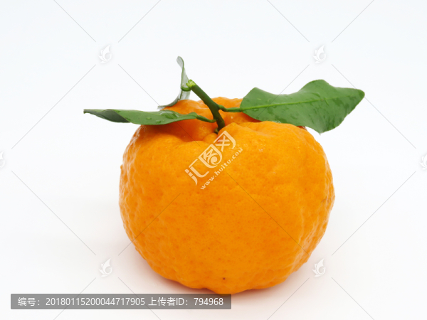 丑柑