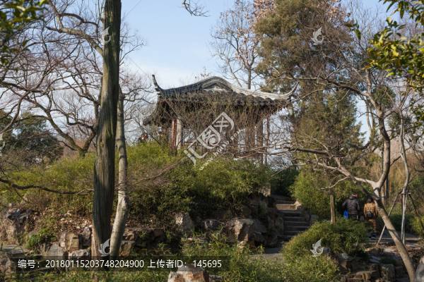拙政園