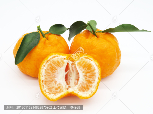 丑橘