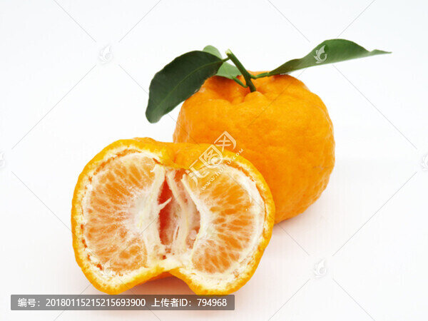 丑橘