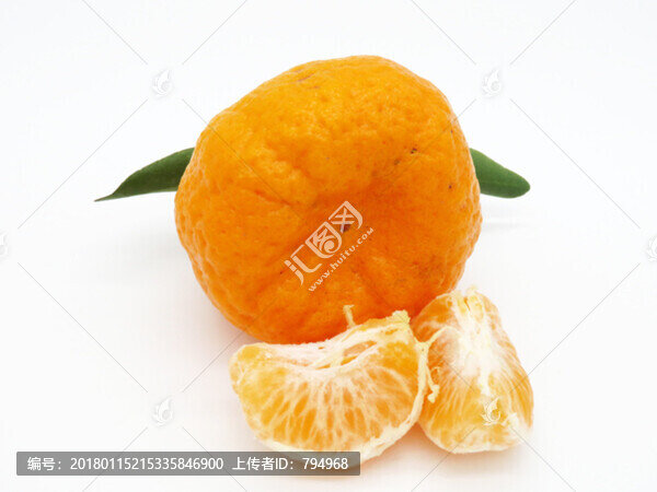 丑橘