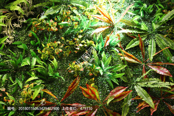 綠葉景觀墻