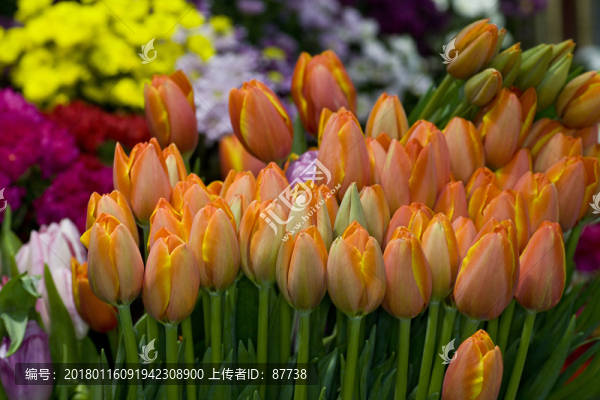 鮮花