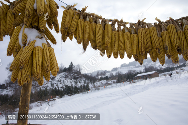 雪鄉(xiāng)