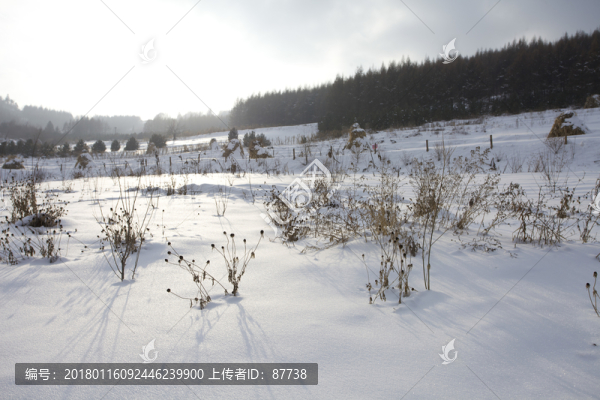 雪鄉(xiāng)