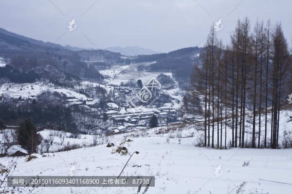 雪鄉(xiāng)