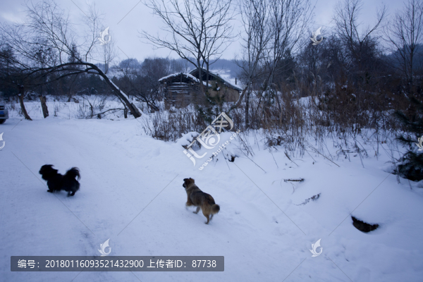 雪鄉(xiāng)