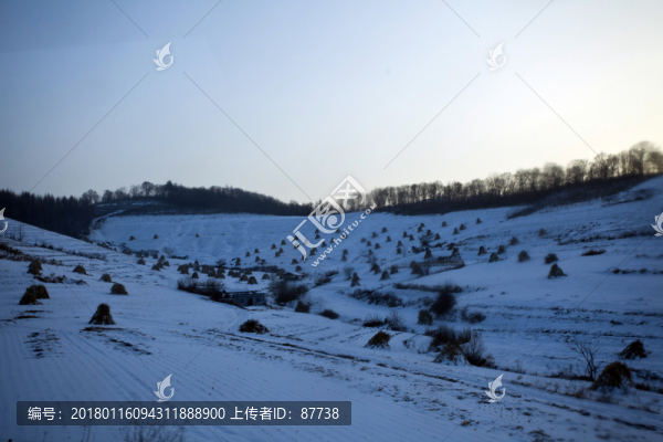 雪野