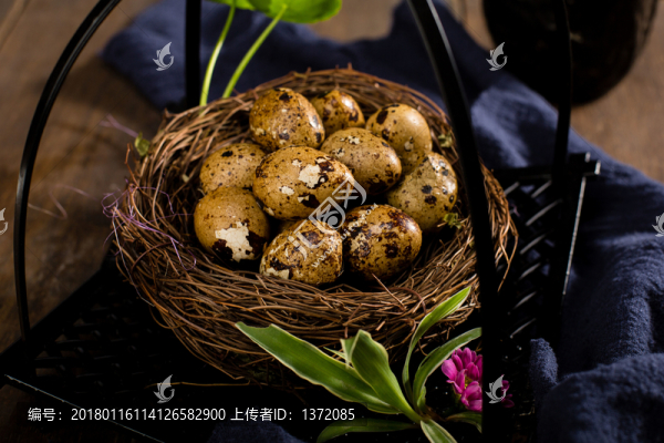 鳥巢鵪鶉蛋