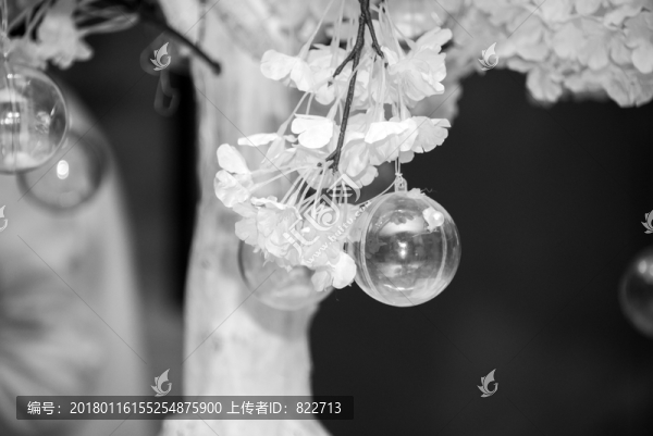 透明圓球