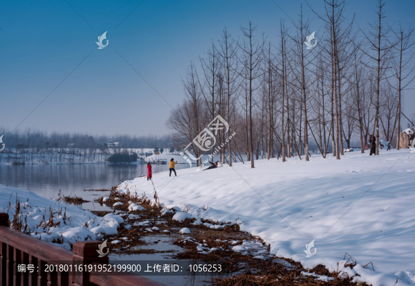 雪景