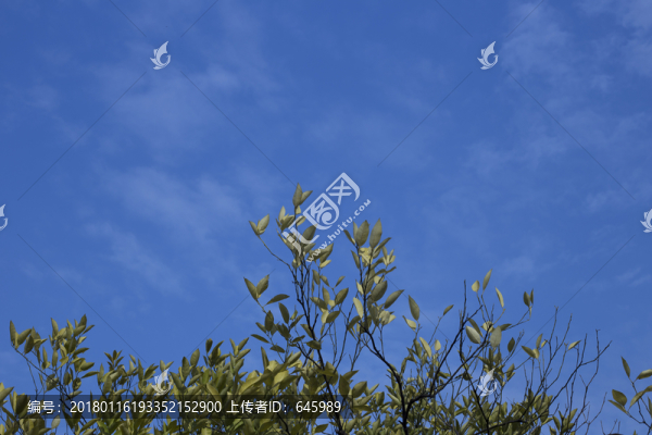 藍天白云