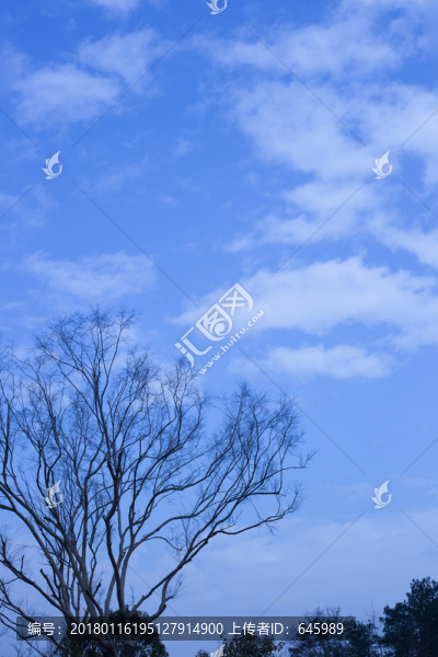 藍(lán)天白云