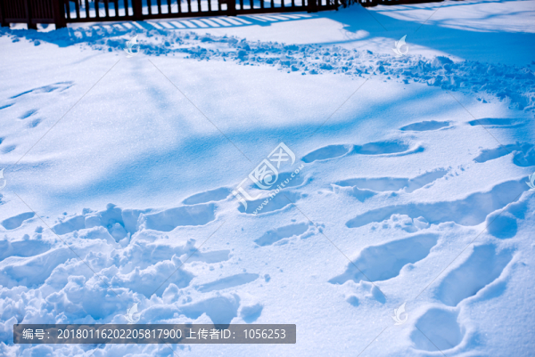 雪地