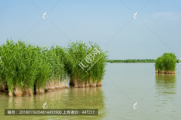 寧夏銀川沙湖