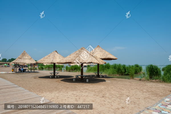 寧夏銀川沙湖
