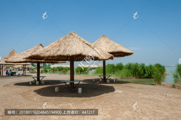 寧夏銀川沙湖