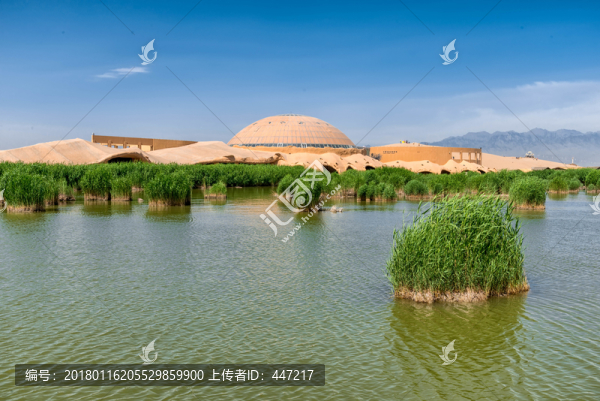 寧夏銀川沙湖