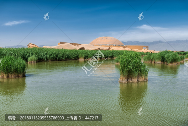 寧夏銀川沙湖
