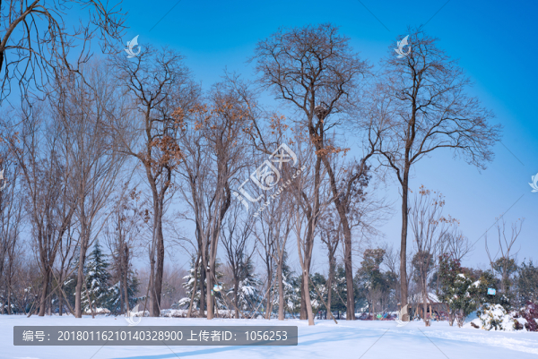雪景