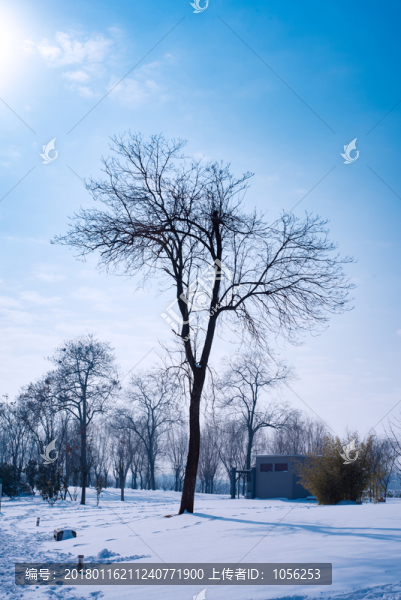 雪景