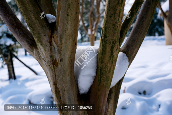 雪景