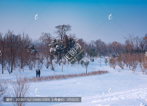雪景