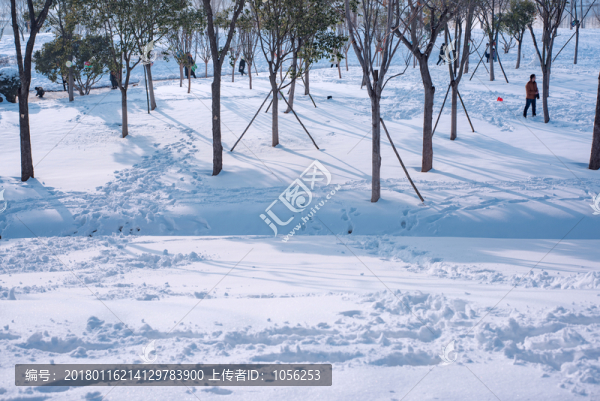 雪景
