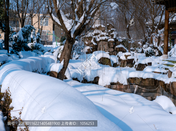 雪景