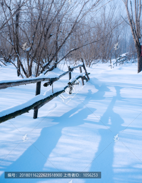 雪景