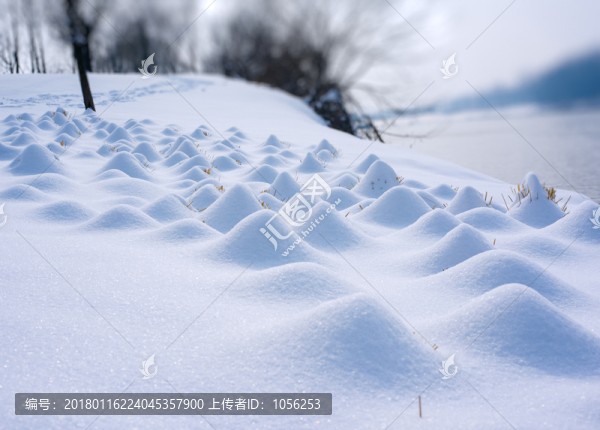 雪景