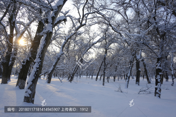 雪林