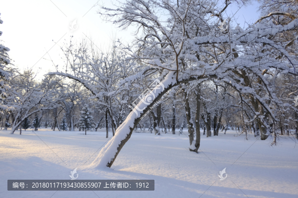 雪景
